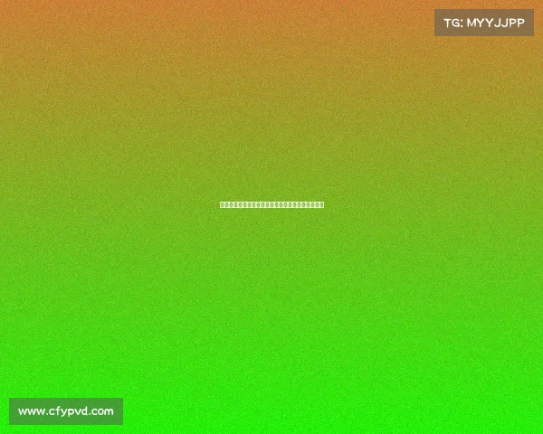 雷恩城市历史文化与现代发展的交融探索与未来展望